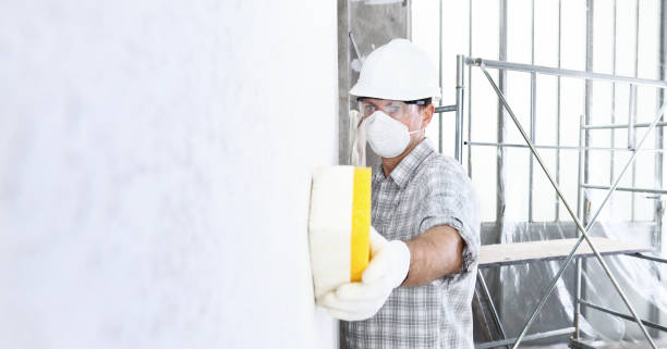 Best Industrial Mold Remediation  in Sahuarita, AZ