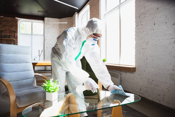 Best Airborne Mold Testing  in Sahuarita, AZ